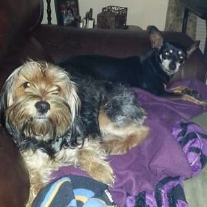 Meet your Posher, Kristie